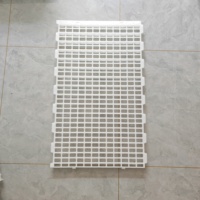 Tapis de sol en plastique PP pour poulailler, facile à nettoyer, antidérapant, inodore, neuf, garantie 3 ans, 100x60x5cm