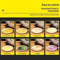 Handmatige, verstelbare dikte-snijder van koolstofstaal voor citroenen, aardappelen, groenten, fruit en lotuswortels