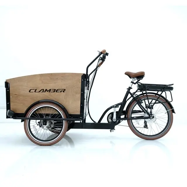 Nova carga elétrica bicicleta/carga bicicleta triciclo 3 roda elétrica para crianças
