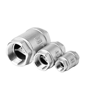 Cnjs Thép Không Gỉ 304 Npt Bsp Một Cách Không Trở Lại H12 Kiểm Tra Van Chủ Đề Mùa Xuân Tải Dọc Kiểm Tra Van - Product Image 4