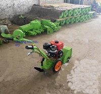 Prix EXW - Petite motobineuse thermique 170 cm³ poussée à la main pour le désherbage des maïs et des légumes