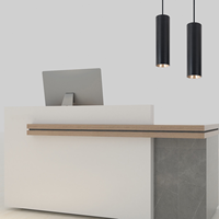 Pilote intégré 8W 15W 20W 25W 30W lustre de luxe moderne salon Morden lampe suspendue plafonnier suspendu