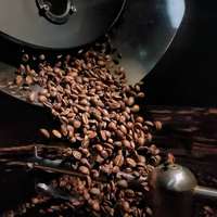 Torréfacteur à café Santoker, écran tactile amélioré, 1 kg, 3 kg, 5 kg, 10 kg, commercial, domestique, machine à torréfier les grains de café