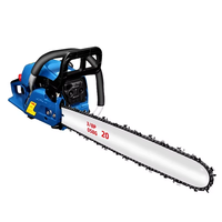 Tronçonneuse à essence portative 2500 W, 10/12/14 pouces, pour jardinage, abattage de bambou et bois domestique, OEM