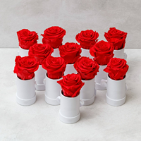 Rose éternelle unique et authentique, durable 365 jours, pour maman, amie, grand-mère, petit ami, cadeau de la Fête des Mères