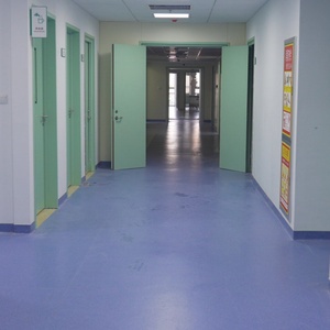 <span class=keywords><strong>Porte</strong></span> de Plancher Évacuation en Acier Style Moderne, Résistante au Feu, pour Ateliers, Hôpitaux, Hôtels - <span class=keywords><strong>Porte</strong></span> d'Entrée/Sortie avec Certification CE - Product Image 5