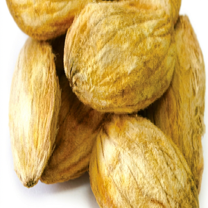 Proveedor mayorista de mangos de la India para el cuidado del cabello - Product Image 1