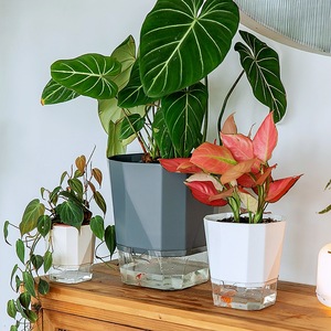 Pot de fleurs en résine plastique auto-absorbant sans arrosage, pot de un gallon pour <span class=keywords><strong>plantes</strong></span> succulentes, orchidées, roses, <span class=keywords><strong>plantes</strong></span> de <span class=keywords><strong>balcon</strong></span>, vente en gros - Product Image 4