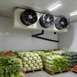 Equipo de Cámara Frigorífica de 1000 Metros Cuadrados, Sistema de Congelación a Gran Escala para Almacenamiento de Frutas y Verduras - Product Image 1