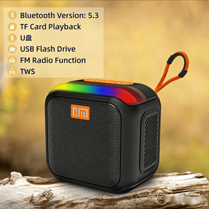 Mini altavoz portátil impermeable RGB de 8W con soporte para teléfono Subwoofer y Radio, para fiestas al aire libre, batería de fuente de alimentación - Product Image 4