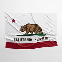 Bendera Kustom 90x150cm Cetak Digital Anti-Kerut Poliester Desain Kustom Spanduk Dekoratif untuk Rumah & Taman