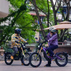 จักรยานไฟฟ้าแบบรวมแบตเตอรี่สำหรับ Suspension40A หน้า + หลังถูกกฎหมายไฟ <span class=keywords><strong>L1e</strong></span> ผึ้งความเร็วสูง - Product Image 3