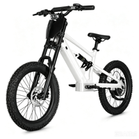 Bicicleta Eléctrica de Equilibrio para Niños de 20 Pulgadas, 48V, 6.0AH, 1000W, Diseño sin Escobillas, Sensor Inteligente, Aleación de Aluminio y Litio