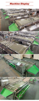 Machine de tri et de calibrage des fruits et légumes commerciaux en acier inoxydable 304, nouvelle, personnalisée, 4 à 7 niveaux