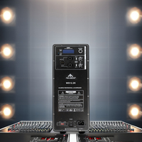 Module audio professionnel 800W classe D Pro haut-parleur en métal durable à gamme complète active haute puissance
