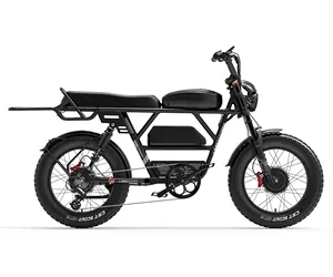EU cổ lankeleisi x-black Knight 2000W 45Ah Xe đạp điện động cơ kép 7 tốc độ bánh răng hệ thống phanh đĩa khung hợp kim nhôm