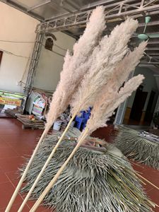 หญ้าแห้งจริงดอกไม้หญ้า-หญ้าแห้งหญ้าดอกไม้ตกแต่งงานปาร์ตี้งานแต่งงาน