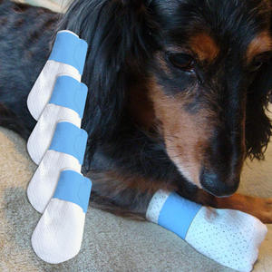 Хит продаж, <span class=keywords><strong>2025</strong></span> Собачьи носки - Product Image 3