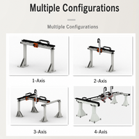 Module de table coulissante linéaire à crémaillère croisée à deux axes, robuste, pour bras robotique à portique à trois axes personnalisé, garantie 1 an