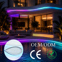 Tira de Silicona Flexible Inteligente RGB DC24V, 60 LED/m, IP67 Impermeable, Certificación CE, Regulable, 2 Años de Garantía, para Hoteles, Fiestas, Exteriores