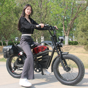 <strong>AKEZ</strong> Fat Tire 20x4.0 Electric Bike Vintage Style 1500W 48v High Power 55KM/H Beach Cruiser Long Range <strong>Ebike</strong> for Adults - Product Image 1