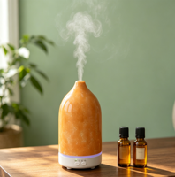 Diffuseur d'arômes électrique USB en céramique, diffuseur d'air frais en pierre céramique, diffuseur d'arômes en porcelaine, distributeur d'aromathérapie