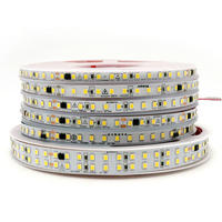 Tira de LED de Alto Voltaje AC 220V Personalizada, Sin Controlador, Impermeable IP44, Flexible, Tipo Neón, para Proyectos Arquitectónicos, Lámpara Elegante
