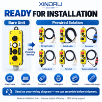 Station de commande suspendue XDL10 IP65 pour grue de levage, boîtier de commande à boutons poussoirs 2-6 boutons 8A avec interverrouillage, pré-câblé OEM