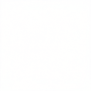 Commande manuelle pneumatique murale pour montage externe, blanche - Product Image 3