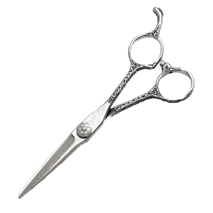 Ciseaux à effiler professionnels en acier inoxydable, droits, 6,0 pouces, pour coiffeurs - Product Image 1