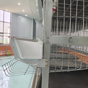 Jaula para Aves de Corral con Estructura en A Galvanizada - Resistente a la Corrosión para Climas Tropicales - Product Image 3