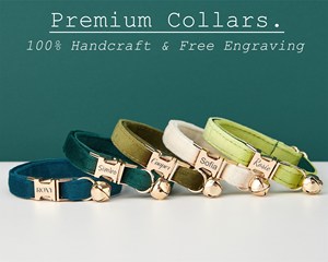 Veet bơ Teal cá nhân mèo cổ áo BOW TIE Dây Xích thiết lập, tùy chỉnh Kitten Puppy name tag, chuông vàng miễn phí, Con Chó Nhỏ khắc vật nuôi - Product Image 2