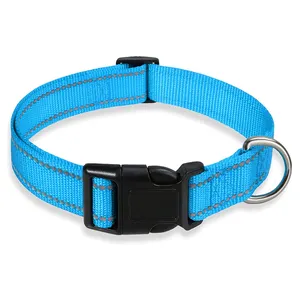 Kunden spezifische hochwertige mehrfarbige verstellbare haltbare Kunststoffs chnalle Basic Nylon Gurtband Hunde halsband in loser Schüttung