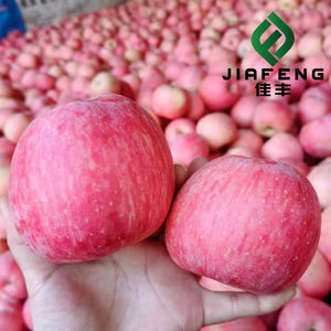 Apel Segar Kelas Atas Buah Segar Apel Panen Baru - Product Image 5