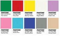 Rideaux Unis Couleurs Vives Vente en Gros 100% Polyester Tissu Uni Rouleau Voilages Transparents pour Salon Chambre Fenêtre