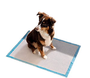 Cross-border Pet Urine Pads, <b>Odor</b>-removing Thickened Urine Pads, Wholesale <b>Absorbent</b> Pads, One-stop Outsourcing. - Product Image 3
