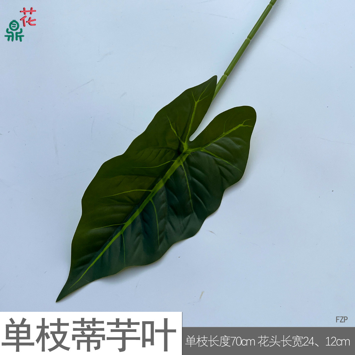 Feuilles de taro à tige unique FZP vert clair