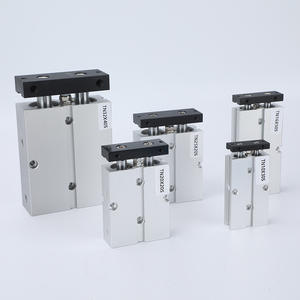 Cylindre pneumatique à double broche série TN, nouveau petit modèle TN10/16/20/25/32X10X15X20X25X30, filtre et tuyau en plastique - Product Image 1