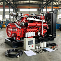 Générateur à gaz turbocompressé 16 cylindres 1000 kW, direct usine, groupe électrogène double carburant pour alimentation de secours industrielle d'urgence