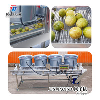 Groente- en fruitdroger met trapsgewijze transportband, ontwateringsmachine, 4 ventilatoren, SUS 304, continue lijn, voedingsmiddelenfabriek, OEM, groothandel