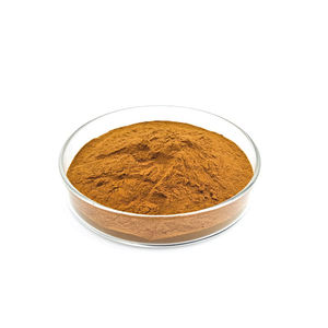 <span class=keywords><strong>100</strong></span>% 純粋な天然コレウスForskohliiエキスパウダー20% <span class=keywords><strong>Forskolin</strong></span> - Product Image 3