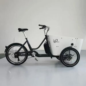 Vélo cargo familial électrique à 3 roues OEM néerlandais avec sièges avant pour enfants et bébés, au design moderne, avec housse de pluie, Bakfiet E Rickshaw - Product Image 2