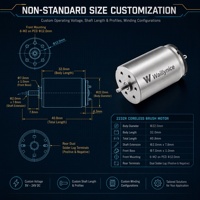 Moteur CC sans balais Waillynice 2232R 22mm 9V 12V 24V 10090RPM pour machine à tatouer rotative, stylo, servo RC