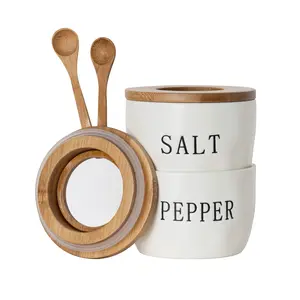 Vente en gros boîte d'assaisonnement de cuisine personnalisée bol à poivre et à sel pot en céramique hermétique contenants à épices avec couvercle cuillère