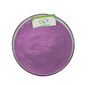 Fornitura HALAL prezzo di fabbrica integratore nutrizionale biologico viola patata dolce in polvere