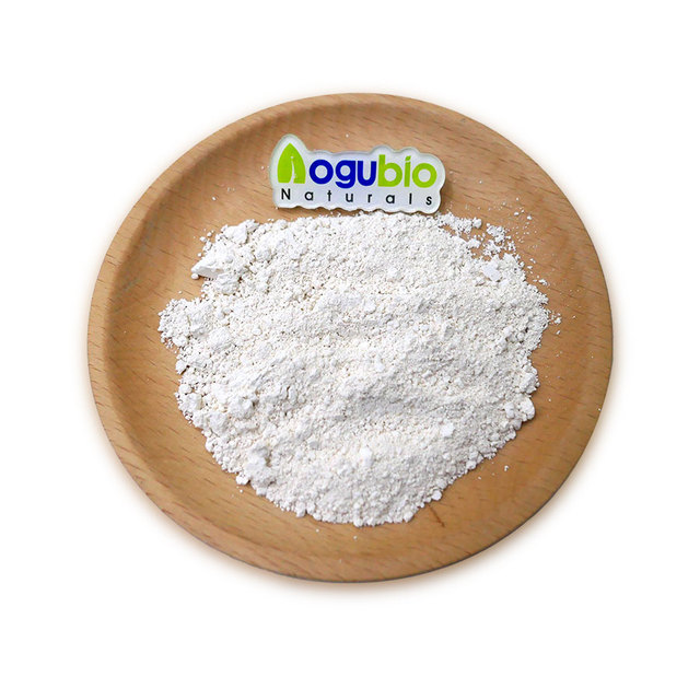 Food Ingredients Bifidobacterium Bifidum Freeze-dried Probiotics Powder
