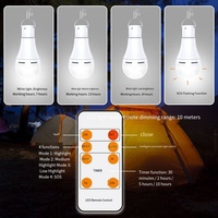 Lampe Solaire LED d'Urgence Suspendue Rechargeable 9W, Blanc Chaud, IP65, pour Jardin, Orientable