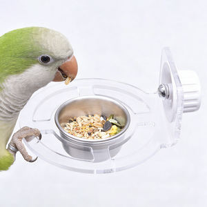 <span class=keywords><strong>2025</strong></span> Yeni Stil Evcil Hayvan Malzemeleri Akrilik Şeffaf Paslanmaz Çelik Papağan Yemliği Papağanlar ve Evcil Kuşlar için - Product Image 6