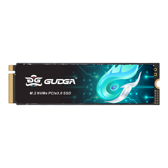 GUDGA GVR Internal Plastic SSD M.2 2280 1TB NVMe PCIe 3.0 3200MB/s High Speed Drive