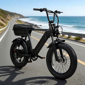 Vélo <span class=keywords><strong>électrique</strong></span> Y20 Plus Fatbike, entrepôt UE Allemagne, 20 pouces, 500W 48V, vélo de route <span class=keywords><strong>électrique</strong></span> vintage, pneus larges, Ebike - Product Image 1